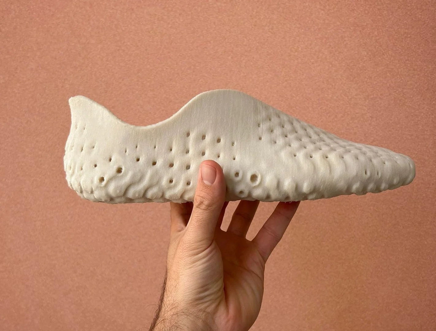 VivobarefootxBalena are collaborating to create 3D printed biodegradable shoe for taking a peek towards sustainable future