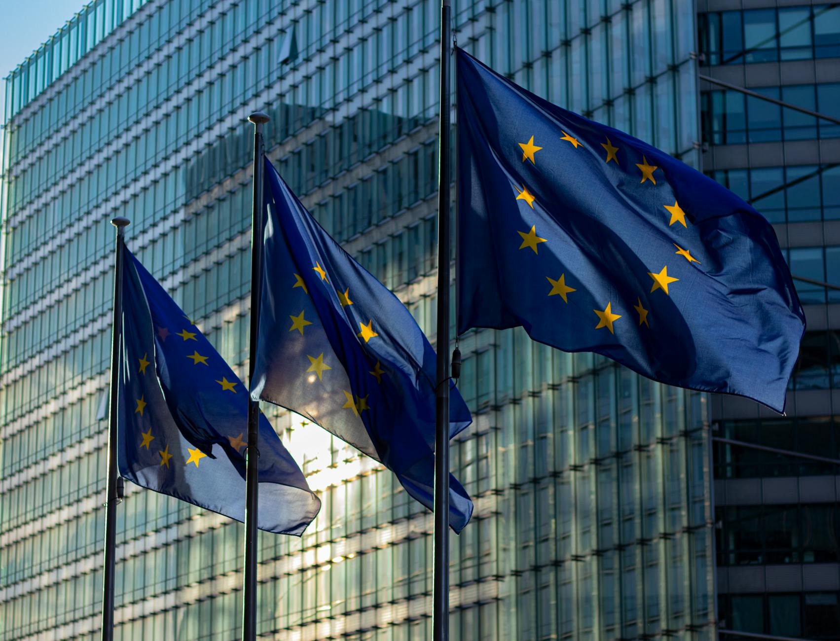 european commission flags on poles