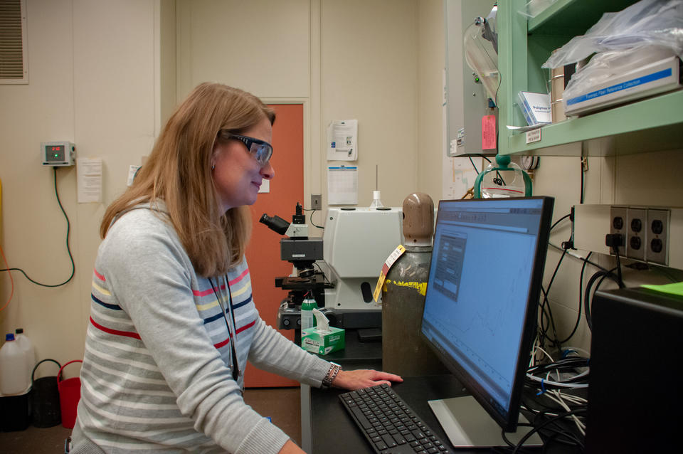 Researcher Amanda Forster stands in her lab looking at near-infrared spectroscopy data obtained from clothing and textile samples. Credit: A. Boss/NIST